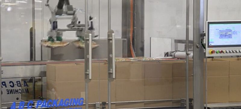 Robot Packing Flexible Bags